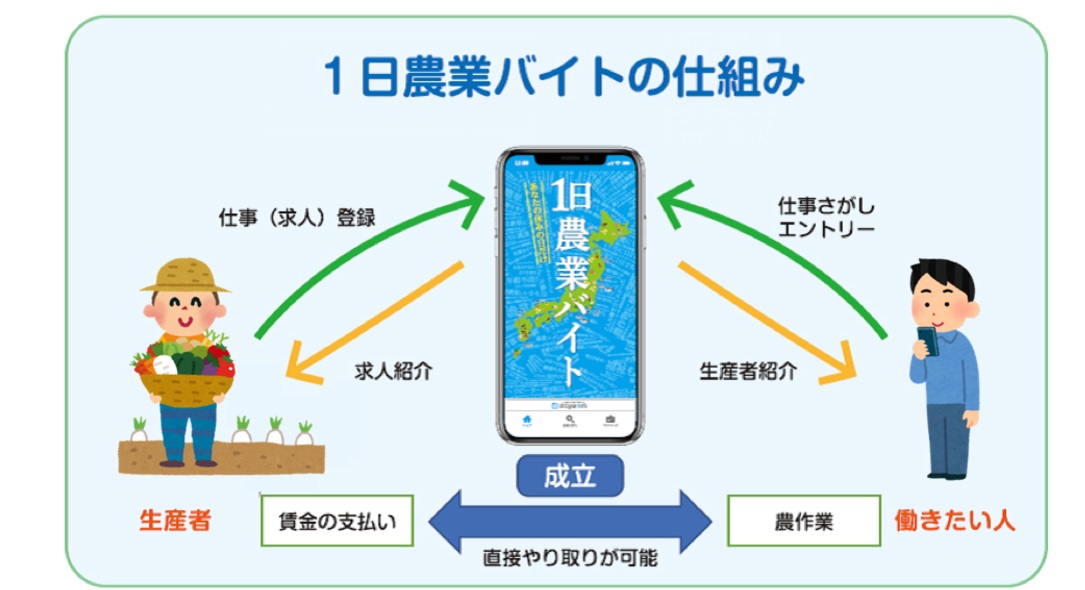 【JA秋田ふるさと】１日農業バイト「デイワーク」・無料職業紹介所のご案内